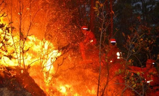 Drones are Fighting Forest Fires in Some Very Surprising Ways